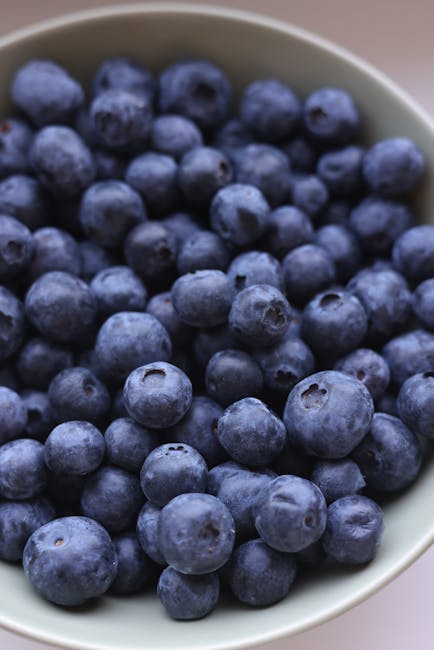 The Ultimate Guide to Plant-Based Nutrition